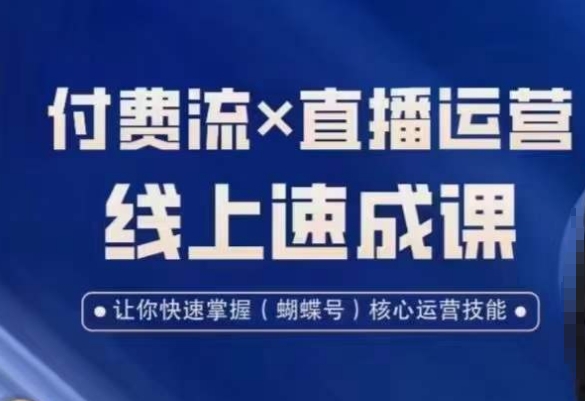 视频号付费流实操课程，付费流✖️直播运营速成课，让你快速掌握视频号核心运营技能-买得值资源库
