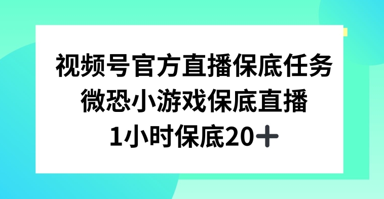 视频号直播任务，微恐小游戏，1小时20+【揭秘】-买得值资源库