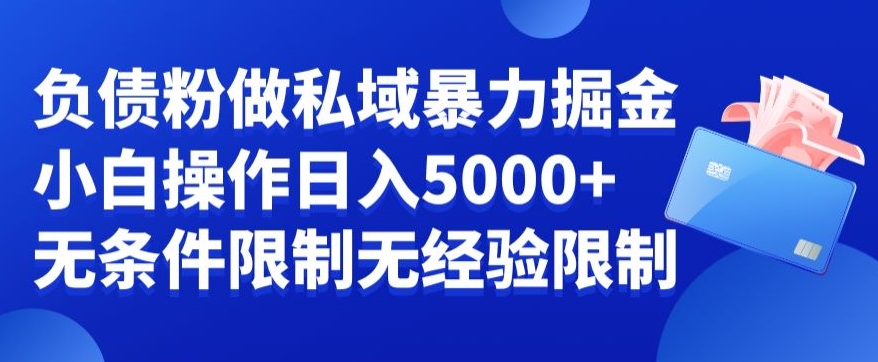 负债粉私域暴力掘金，小白操作入5000，无经验限制，无条件限制【揭秘】-买得值资源库