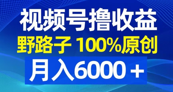 视频号野路子撸收益，100%原创，条条爆款，月入6000＋【揭秘】-买得值资源库