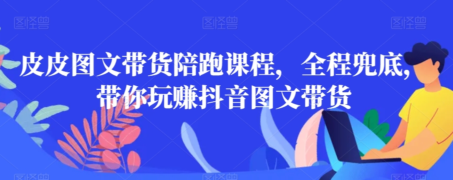 皮皮图文带货陪跑课程，全程兜底，带你玩赚抖音图文带货-买得值资源库