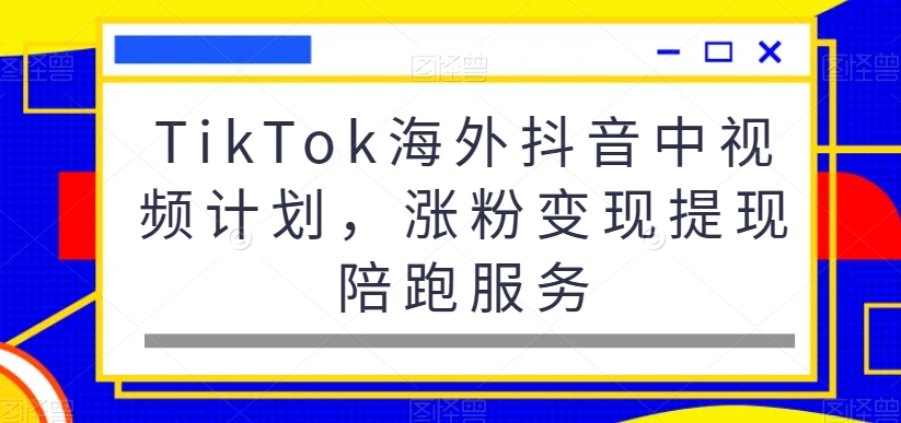 TikTok海外抖音中视频计划，涨粉变现提现陪跑服务-买得值资源库