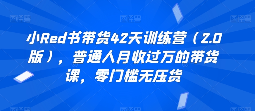 小Red书带货42天训练营（2.0版），普通人月收过万的带货课，零门槛无压货-买得值资源库
