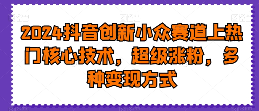 2024抖音创新小众赛道上热门核心技术，超级涨粉，多种变现方式【揭秘】-买得值资源库