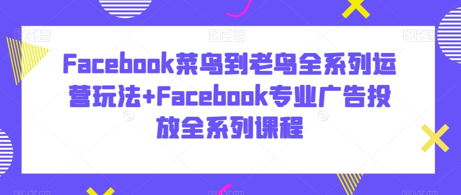 Facebook菜鸟到老鸟全系列运营玩法+Facebook专业广告投放全系列课程-买得值资源库