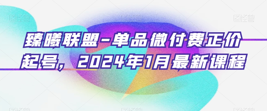 臻曦联盟-单品微付费正价起号，2024年1月最新课程-买得值资源库