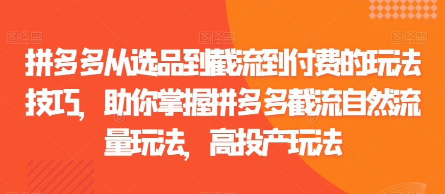 拼多多从选品到截流到付费的玩法技巧，助你掌握拼多多截流自然流量玩法，高投产玩法-买得值资源库