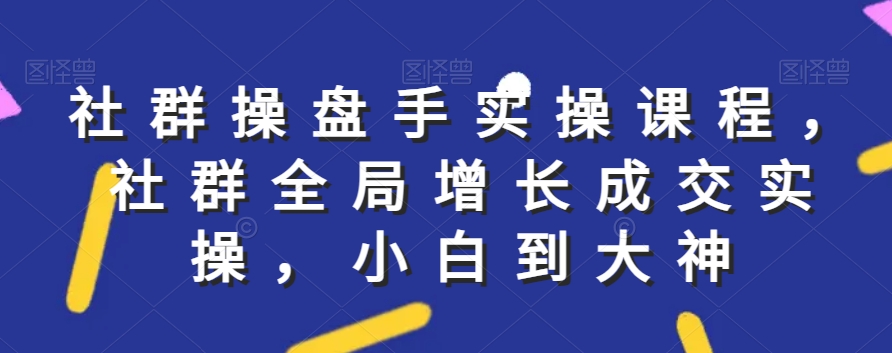 社群实操课程，社群全局增长成交实操，小白到大神-买得值资源库