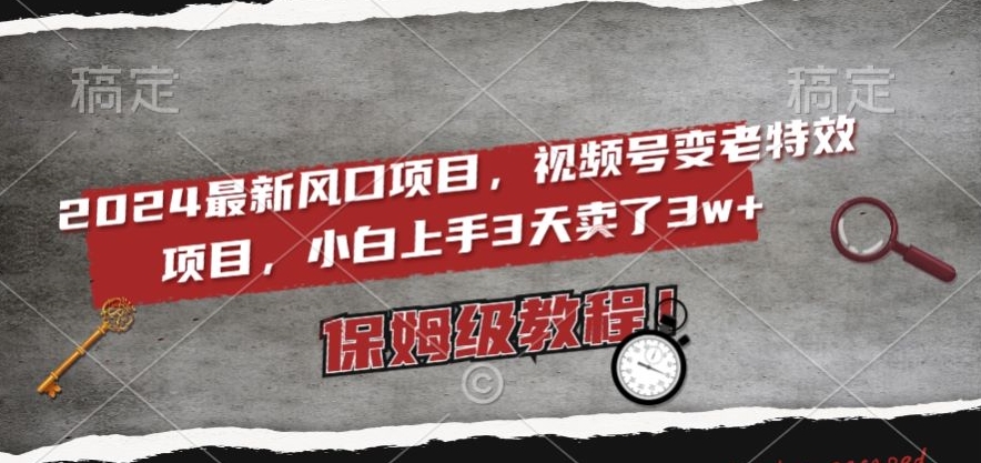 2024最新风口项目，视频号变老特效项目，电脑小白上手3天卖了3w+，保姆级教程【揭秘】-买得值资源库