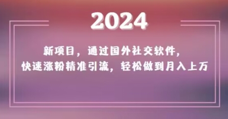 2024新项目，通过国外社交软件，快速涨粉精准引流，轻松做到月入上万【揭秘】-买得值资源库
