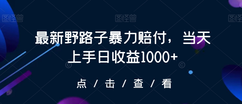 最新野路子暴力赔付，当天上手日收益1000+【仅揭秘】-买得值资源库