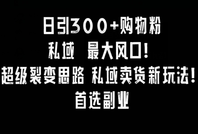 日引300+购物粉，超级裂变思路，私域卖货新玩法，小红书首选副业【揭秘】-买得值资源库