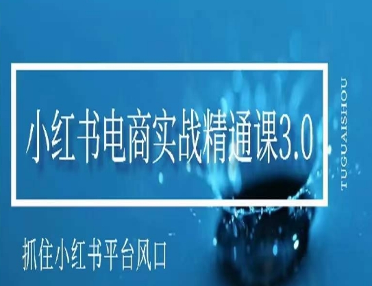 小红书电商实战精通课3.0，抓住小红书平台的风口，不错过有一个赚钱的机会-买得值资源库