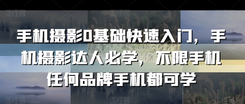 手机摄影0基础快速入门，手机摄影达人必学，不限手机任何品牌手机都可学-买得值资源库