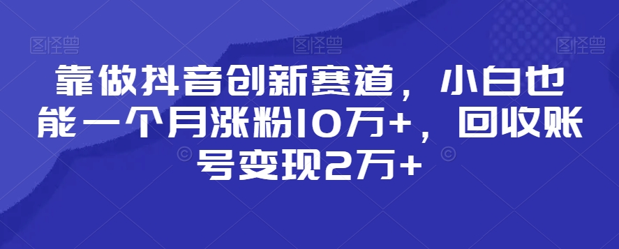 靠做抖音创新赛道，小白也能一个月涨粉10万+，回收账号变现2万+【揭秘】-买得值资源库