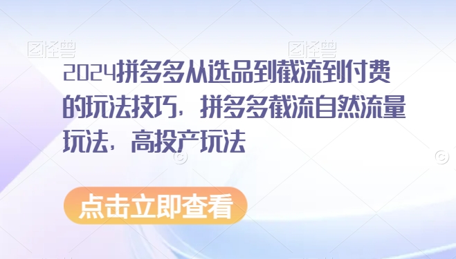 2024拼多多从选品到截流到付费的玩法技巧，拼多多截流自然流量玩法，高投产玩法-买得值资源库