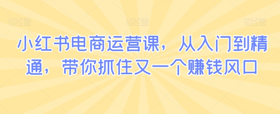 小红书电商运营课，从入门到精通，带你抓住又一个赚钱风口-买得值资源库