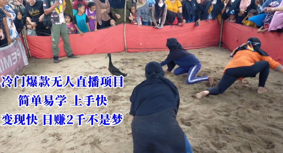 冷门爆款无人直播项目，简单易学上手快，变现快日赚2千不是梦【揭秘】-买得值资源库