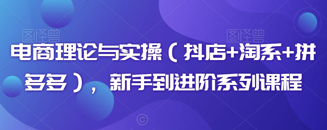 电商理论与实操（抖店+淘系+拼多多），新手到进阶系列课程-买得值资源库
