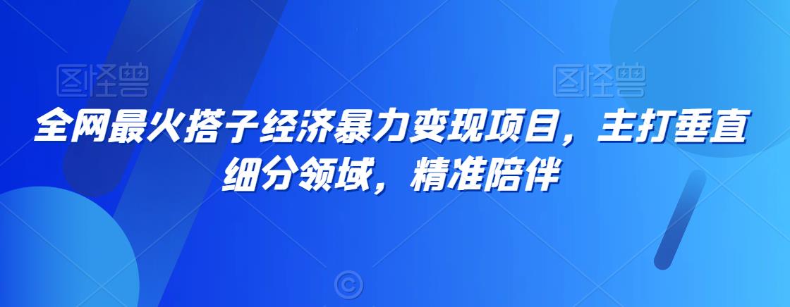 全网最火搭子经济暴力变现项目，主打垂直细分领域，精准陪伴【揭秘】-买得值资源库