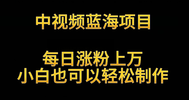 中视频蓝海项目，解读英雄人物生平，每日涨粉上万，小白也可以轻松制作，月入过万不是梦【揭秘】-买得值资源库
