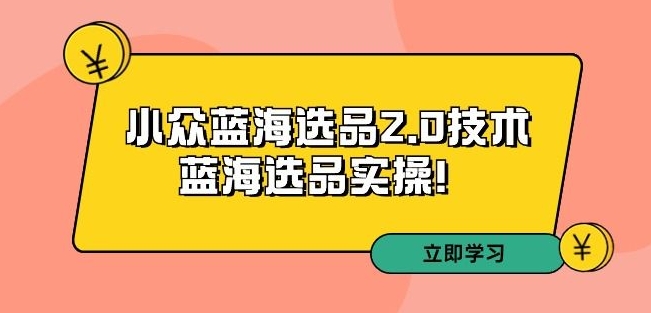 拼多多培训第33期：小众蓝海选品2.0技术-蓝海选品实操！-买得值资源库