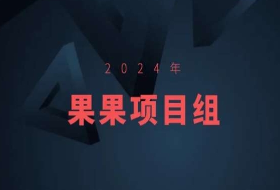 2024年果果项目组项目合集-果果最新项目-买得值资源库