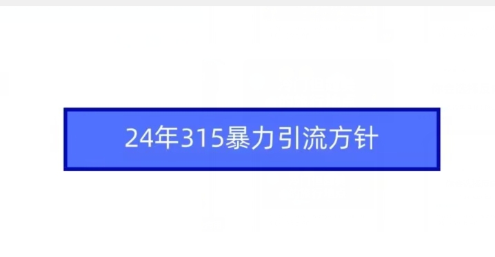 24年315暴力引流方针-买得值资源库
