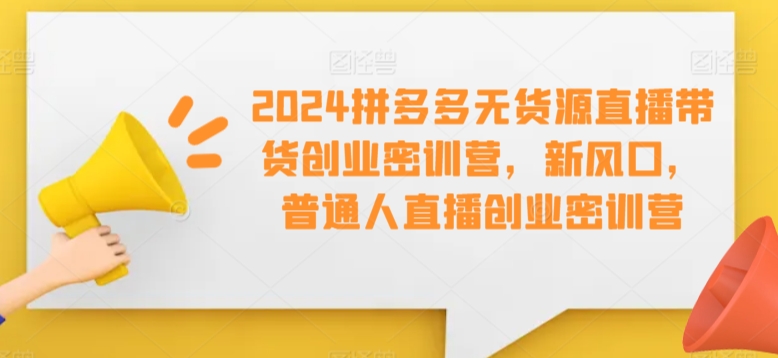 2024拼多多无货源直播带货创业密训营，新风口，普通人直播创业密训营-买得值资源库
