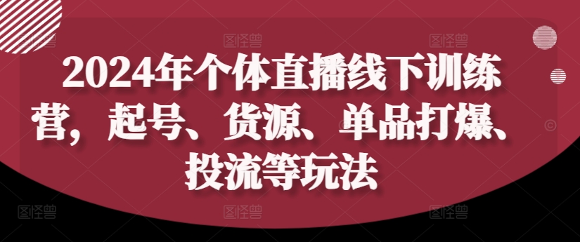 2024年个体直播训练营，起号、货源、单品打爆、投流等玩法-买得值资源库