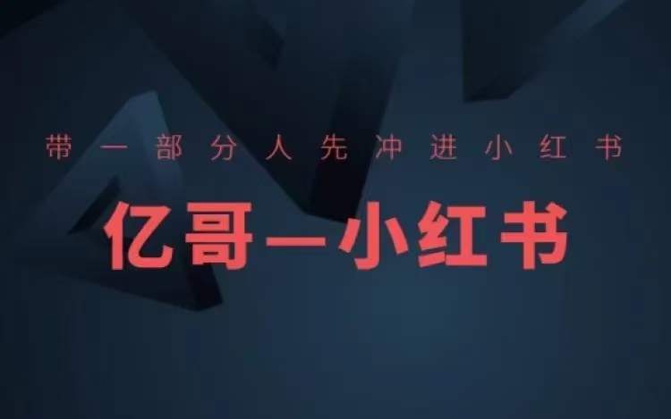 ​​带一部分人先冲进小红书，小红书开店、选品、爆款裂变-买得值资源库