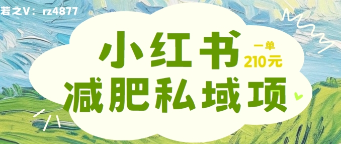 小红书减肥粉，私域变现项目，一单就达210元，小白也能轻松上手【揭秘】-买得值资源库