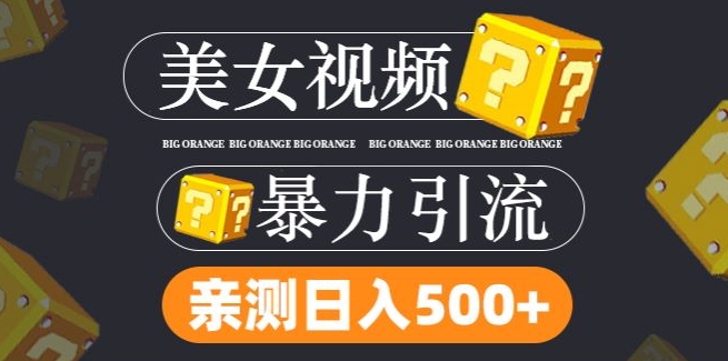 搬运tk美女视频全网分发，日引s粉300+，轻松变现，不限流量不封号【揭秘】-买得值资源库