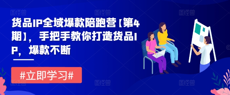 货品IP全域爆款陪跑营【第4期】，手把手教你打造货品IP，爆款不断-买得值资源库