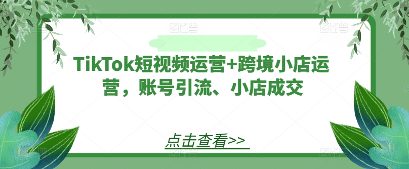 TikTok短视频运营+跨境小店运营，账号引流、小店成交-买得值资源库