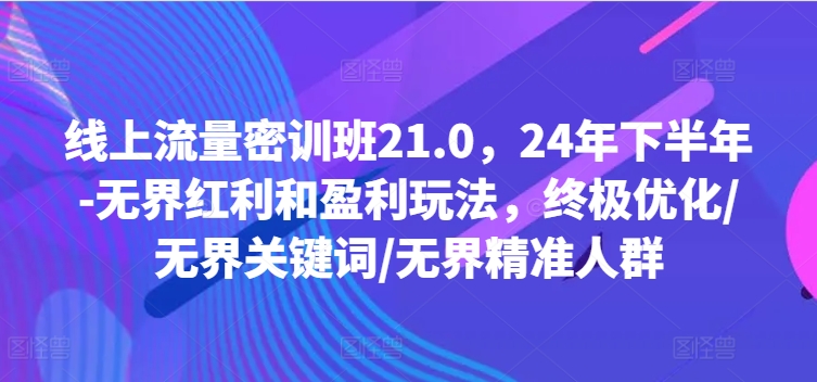 线上流量密训班21.0，24年下半年-无界红利和盈利玩法，终极优化/无界关键词/无界精准人群-买得值资源库