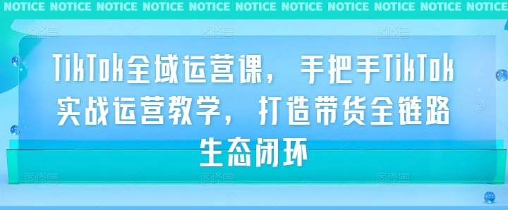 TikTok全域运营课，手把手TikTok实战运营教学，打造带货全链路生态闭环-买得值资源库