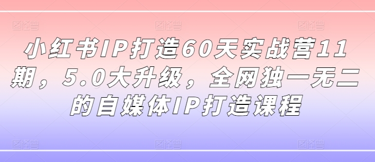小红书IP打造60天实战营11期，5.0大升级，全网独一无二的自媒体IP打造课程-买得值资源库