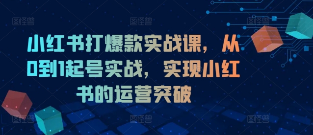 小红书打爆款实战课，从0到1起号实战，实现小红书的运营突破-买得值资源库
