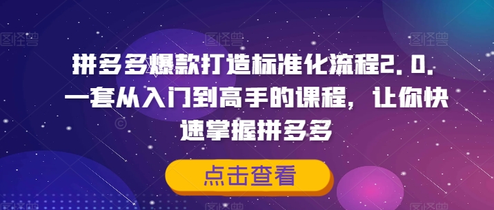 拼多多爆款打造标准化流程2.0，一套从入门到高手的课程，让你快速掌握拼多多-买得值资源库
