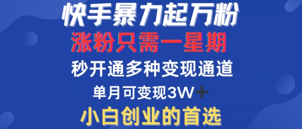 快手暴力起万粉，涨粉只需一星期，多种变现模式，直接秒开万合，单月变现过W【揭秘】-买得值资源库