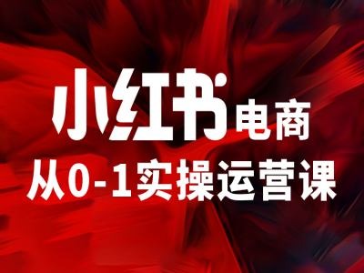 小红书电商从0-1实操运营课，让你从小白到精英-买得值资源库
