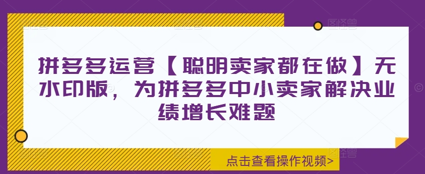 拼多多运营【聪明卖家都在做】无水印版，为拼多多中小卖家解决业绩增长难题-买得值资源库