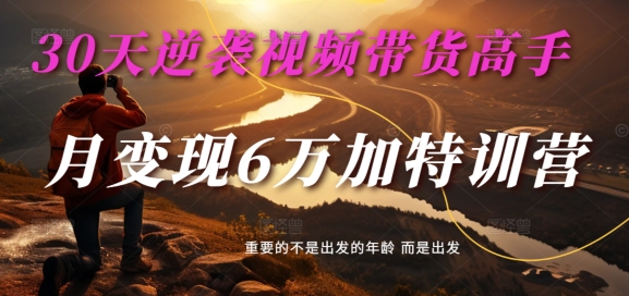 30天逆袭视频带货高手，单月变现6万加特训营-麦子甜-买得值资源库