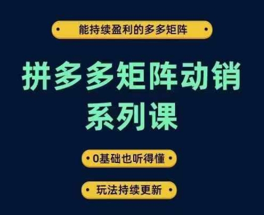 拼多多矩阵动销系列课，能持续盈利的多多矩阵，0基础也听得懂，玩法持续更新-买得值资源库