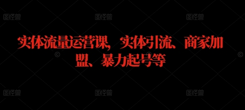 实体流量运营课，实体引流、商家加盟、暴力起号等-买得值资源库