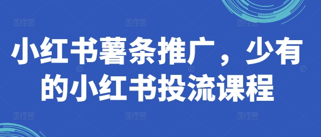 小红书薯条推广，少有的小红书投流课程-买得值资源库