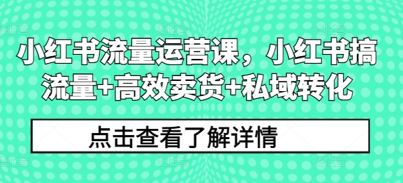 小红书流量运营课，小红书搞流量+高效卖货+私域转化-买得值资源库