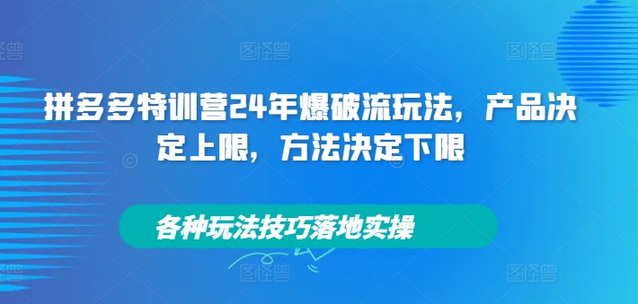 拼多多特训营24年爆破流玩法，产品决定上限，方法决定下限，各种玩法技巧落地实操-买得值资源库