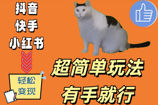 超简单玩法，有手就行，靠猫咪视频日入500+【揭秘】-买得值资源库